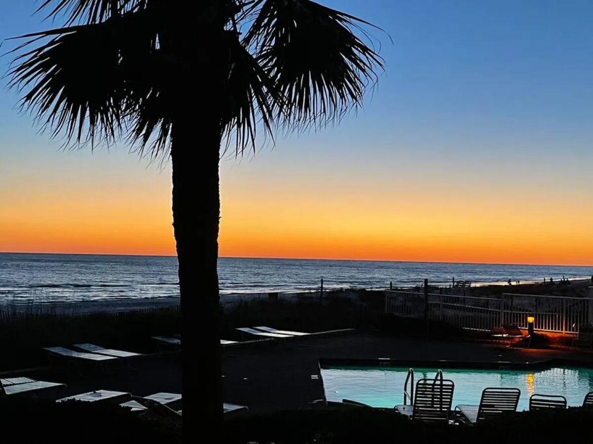 A palm tree stands beside a tranquil pool that overlooks the ocean, with the sun setting on the horizon. The scene blends the beauty of the poolside experience with the allure of beachfront living.