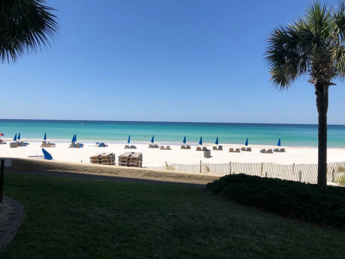 A picturesque stretch of sugar-white sand meets the blue ocean, with rows of beach chairs and blue umbrellas set up for relaxation. Palm trees frame the scene, evoking a tranquil and inviting beach atmosphere ideal for family fun.