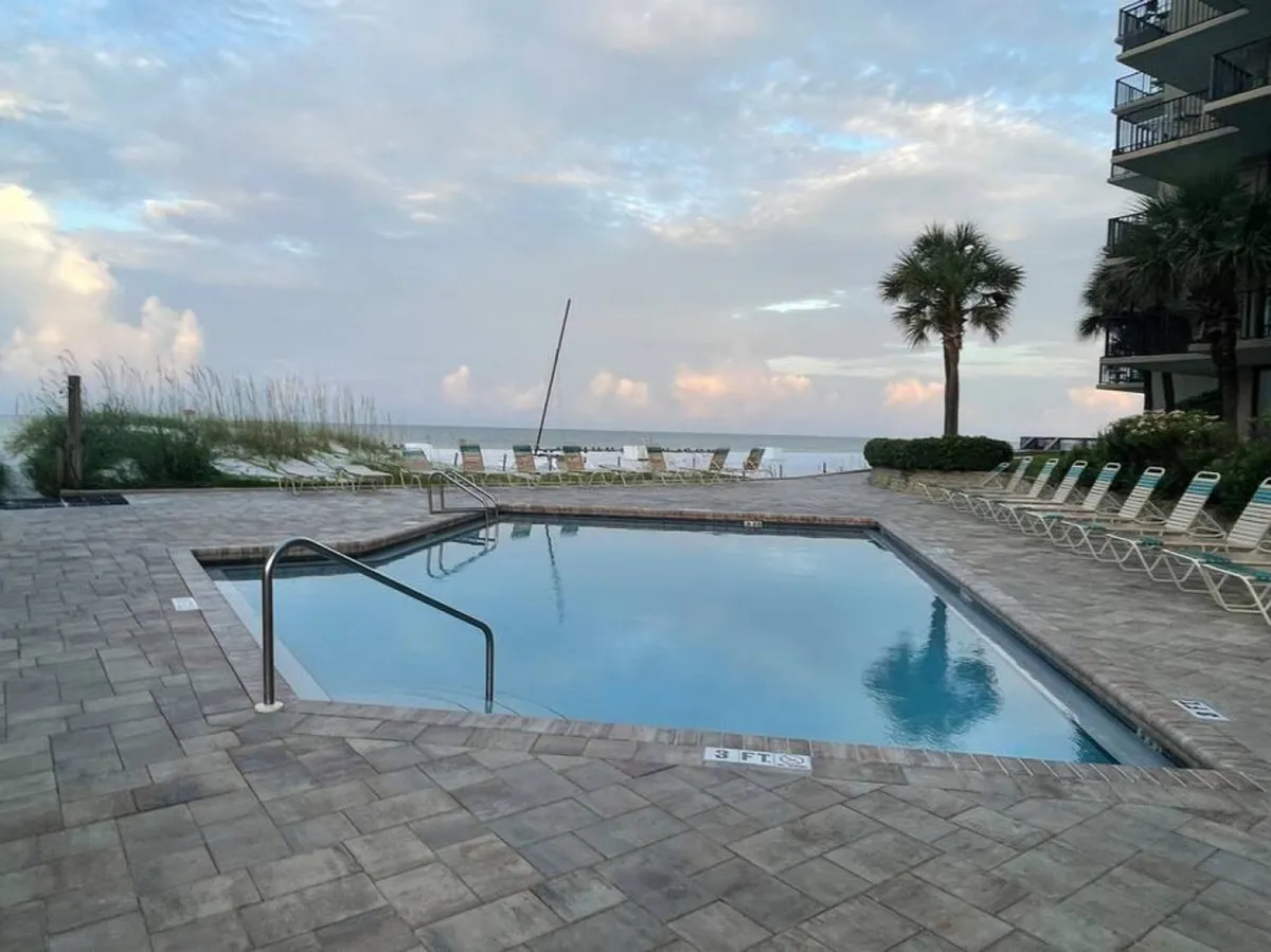 This image showcases a sparkling swimming pool with clear water, surrounded by rows of lounge chairs. A palm tree stands near the poolside, while the ocean is visible in the background, seamlessly blending poolside and beachfront views.